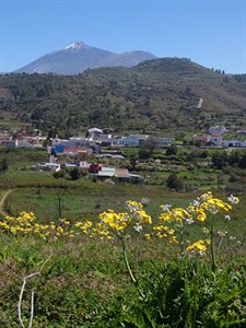 View of Mt Teide from NW Tenerife © John Muddeman